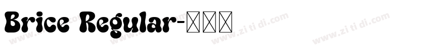 Brice Regular字体转换